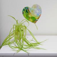 Coeur vegetal